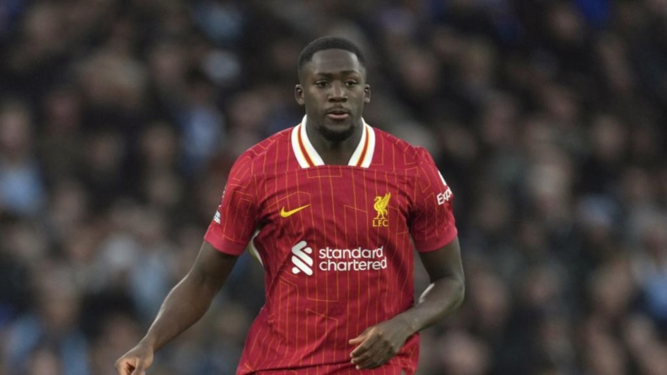 提出续约 提出续约