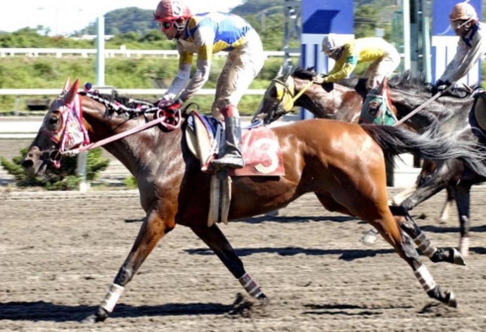 赛马娘, 现代, 日本著名的