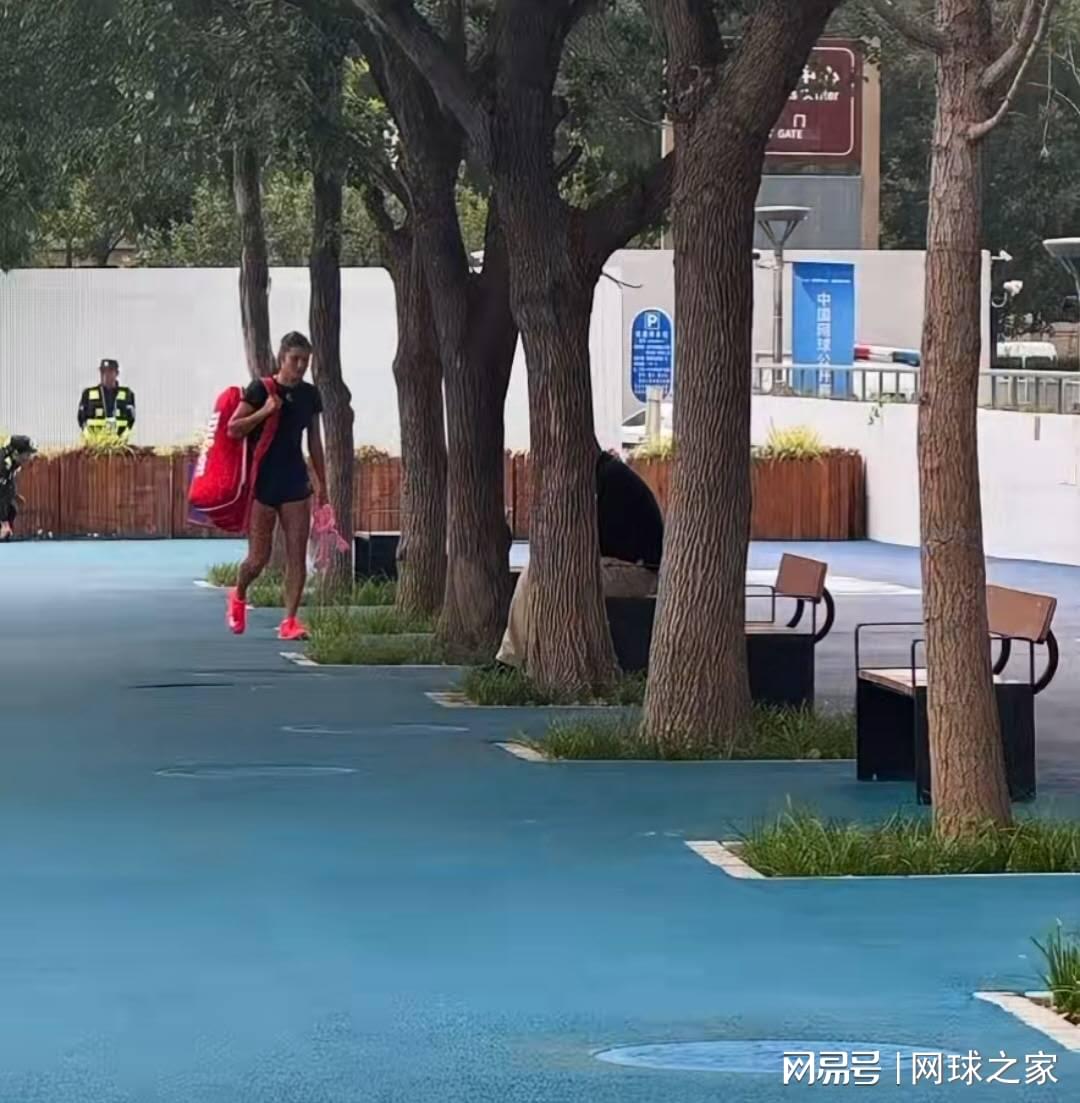 网球选手的 网球选手的